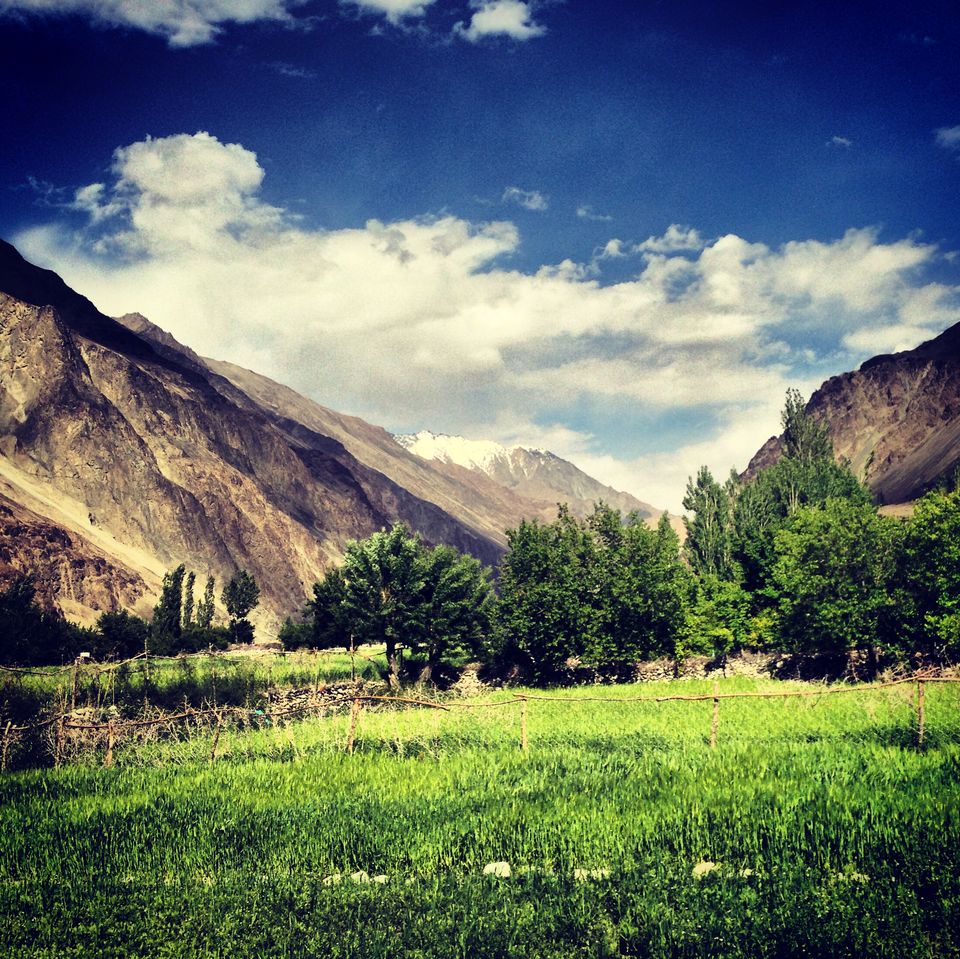 Photo of Mystic Ladakh by IbAd Khatib