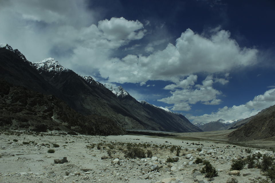 Photo of Leh'D!!!! 3/22 by Meenakshi Rawat