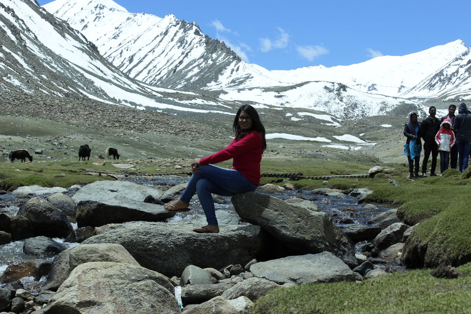 Photo of Leh'D!!!! 4/22 by Meenakshi Rawat