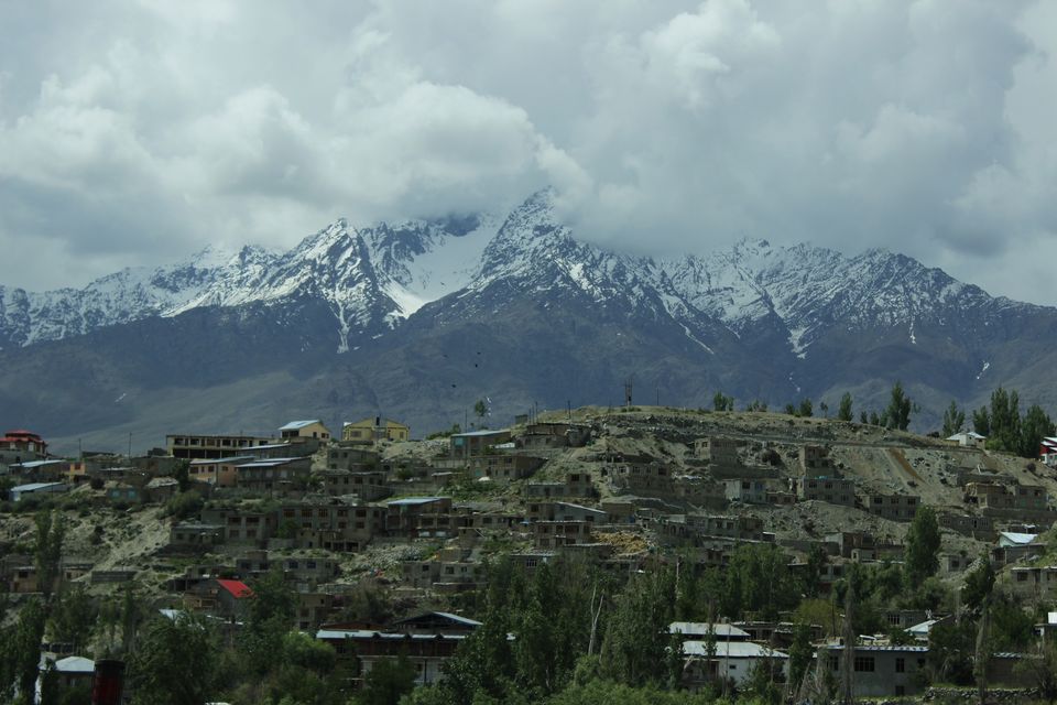 Photo of Leh'D!!!! 11/22 by Meenakshi Rawat