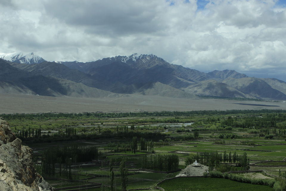 Photo of Leh'D!!!! 12/22 by Meenakshi Rawat