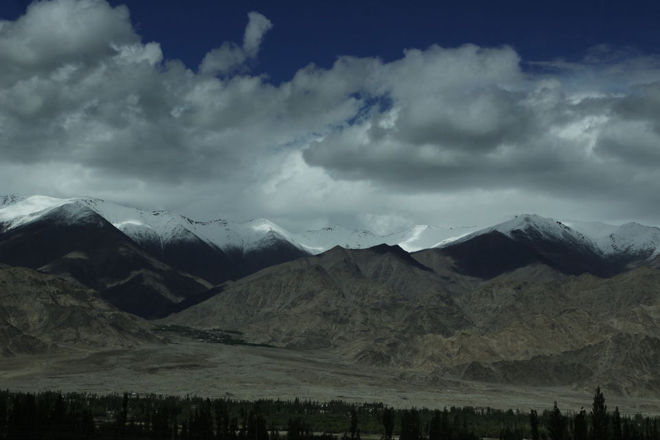 Photo of Leh'D!!!! 13/22 by Meenakshi Rawat