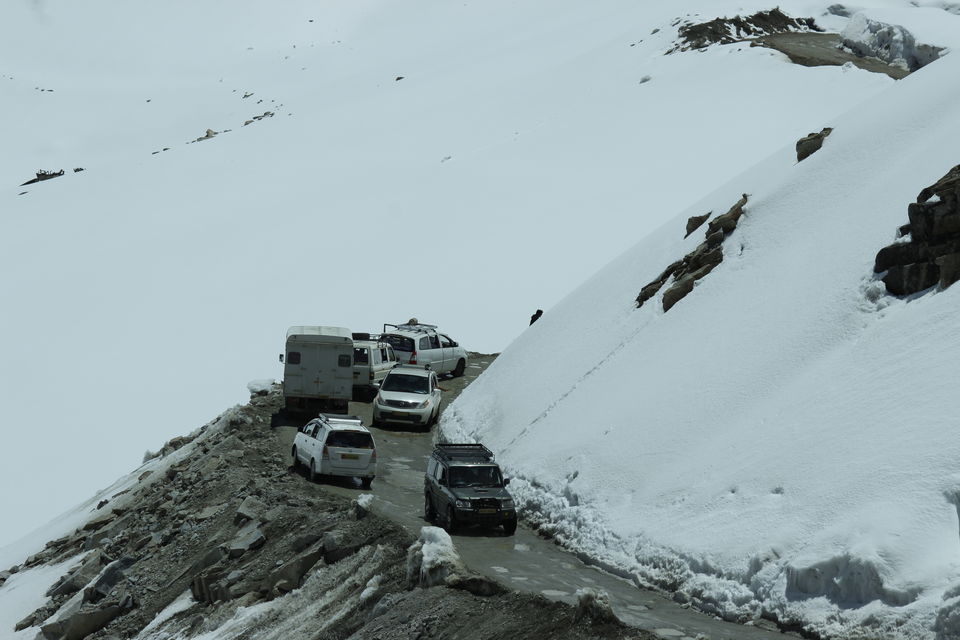 Photo of Leh'D!!!! 14/22 by Meenakshi Rawat