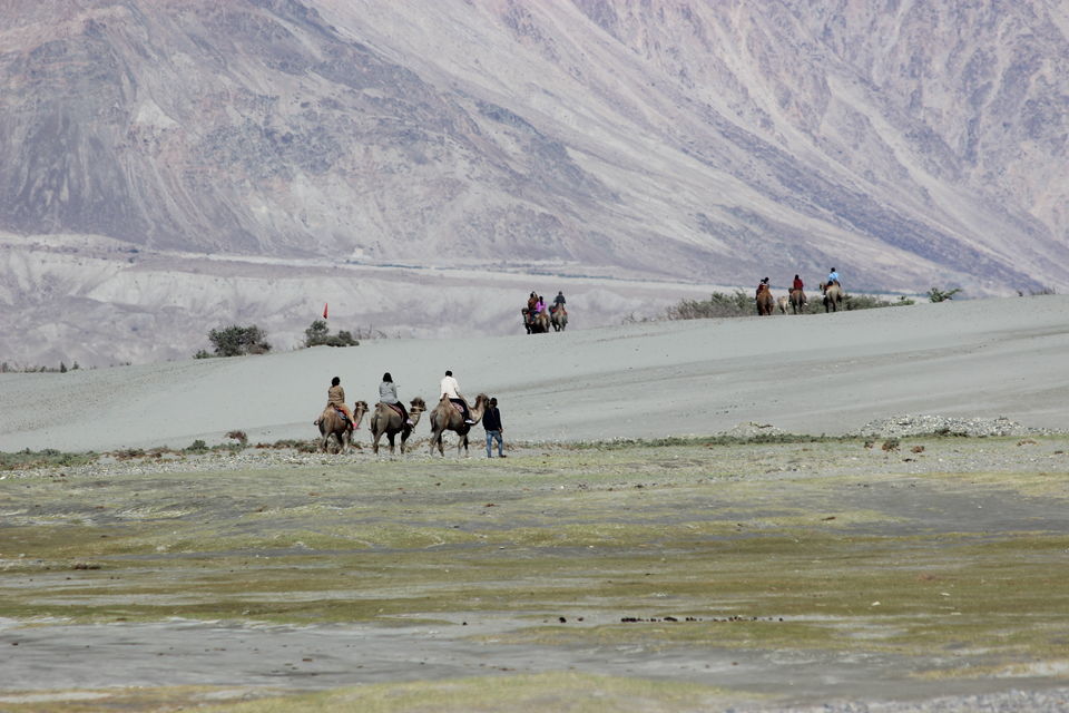 Photo of Leh'D!!!! 16/22 by Meenakshi Rawat