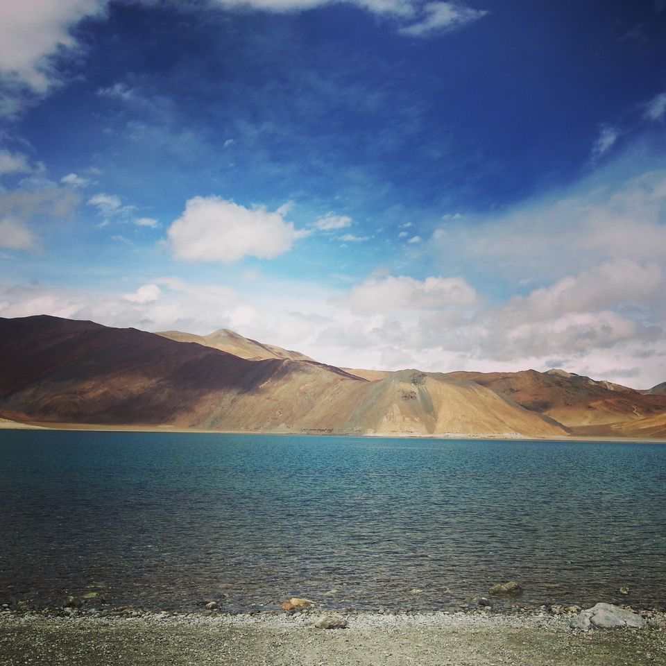Photo of Leh'D!!!! 21/22 by Meenakshi Rawat