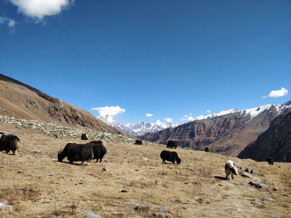 Photo of Rupin Pass Trek : the abode of adventure. #adventureactivity #photoblog by Raghav G