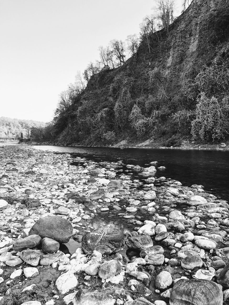 Photo of Jim Corbett National Park by Rohit Arora