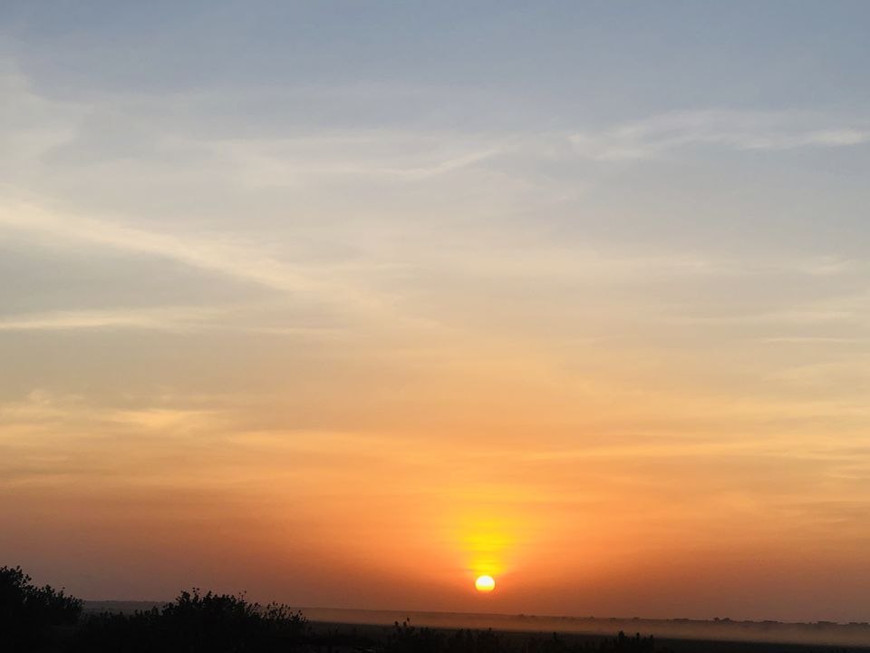 Photo of Rajasthan Road Trip + Rann of Kutch 36/43 by Rohit Arora