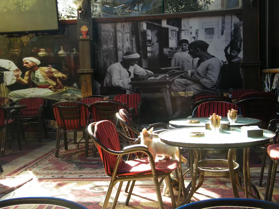 Photo of Mohandeseen Cafe, 25 A El Hegaz St., Mohandiseen, Cairo, Egypt by Anoop Das
