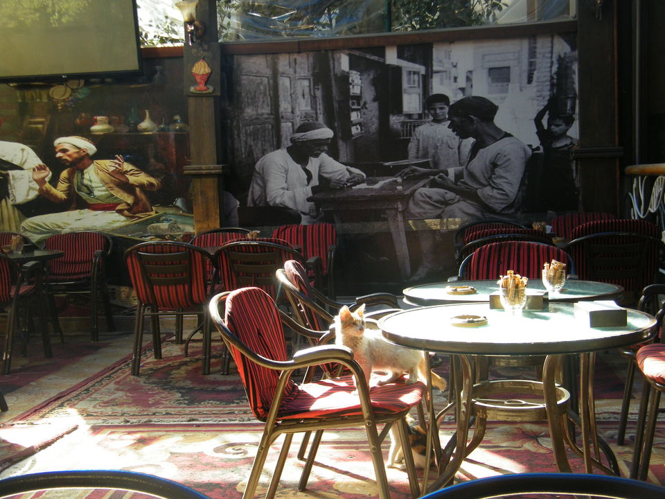 Photo of Backpacking in Cairo 7/12 by Anoop Das