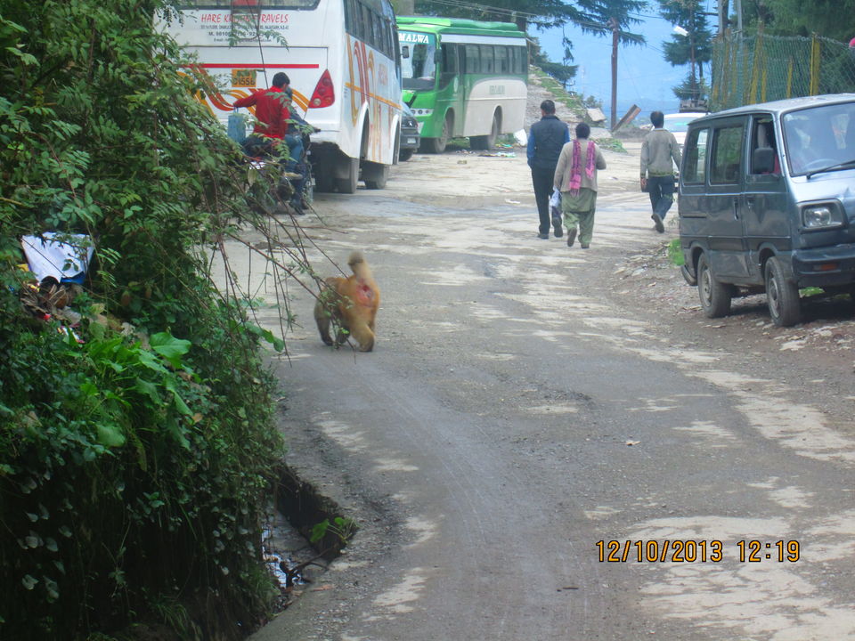 Photo of Backpacking in Himachal 3/122 by Akshay Panchal