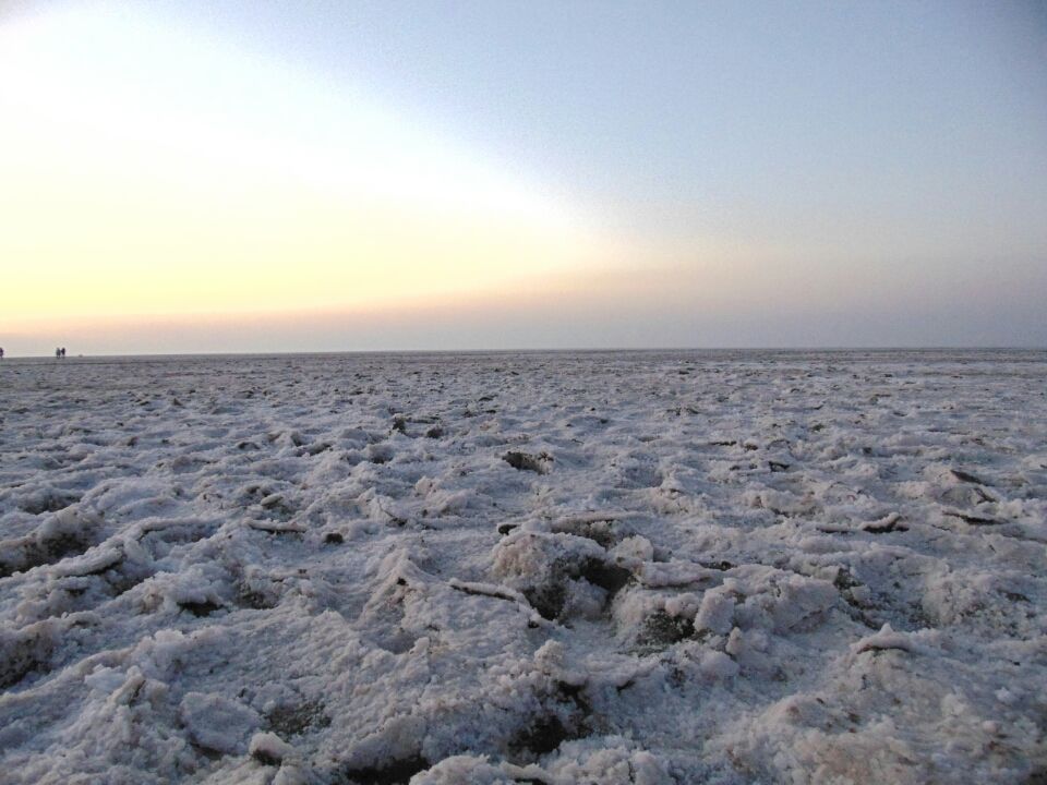 Photo of A desert with white beauty called Rann Of Kutch by priyank patel