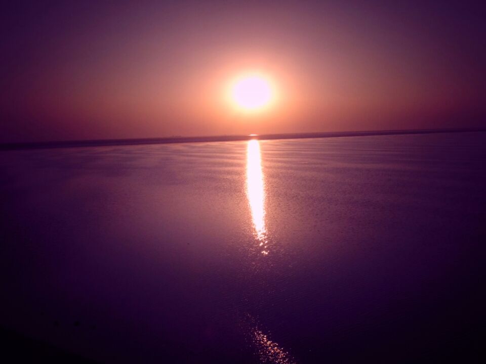 Photo of A desert with white beauty called Rann Of Kutch by priyank patel