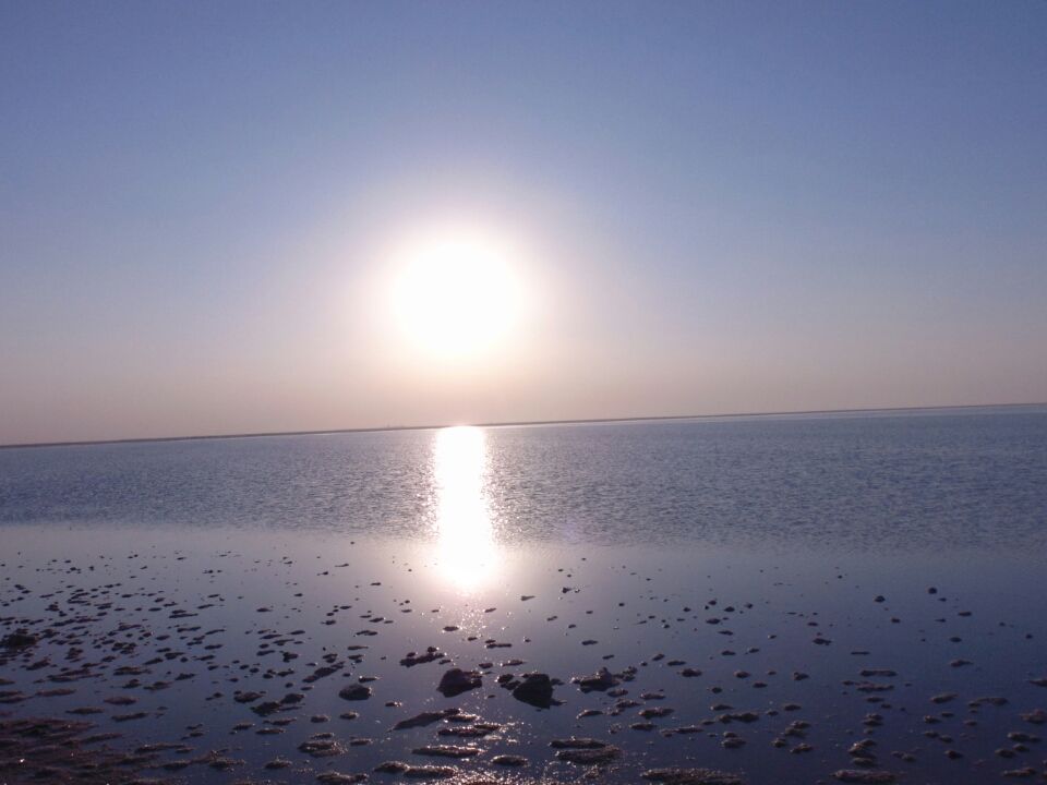 Photo of A desert with white beauty called Rann Of Kutch by priyank patel
