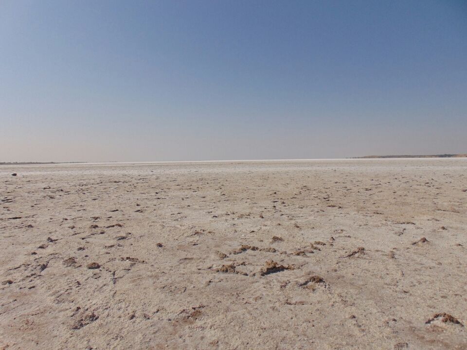 Photo of A desert with white beauty called Rann Of Kutch by priyank patel