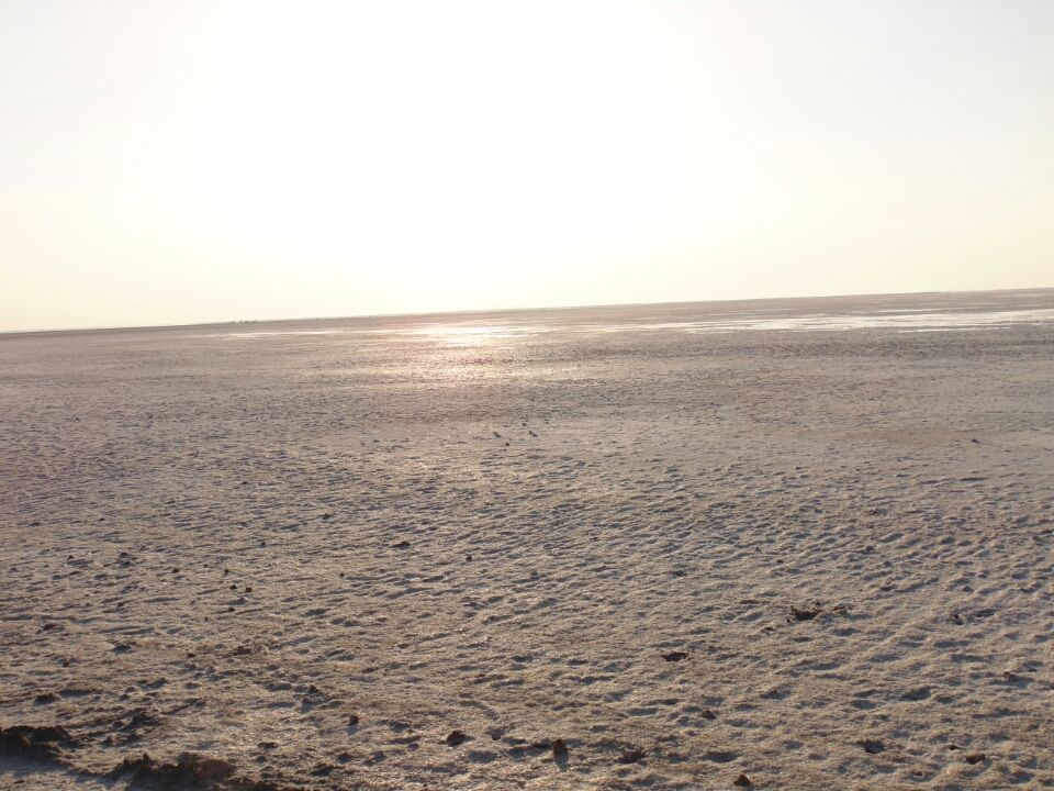Photo of A desert with white beauty called Rann Of Kutch by priyank patel