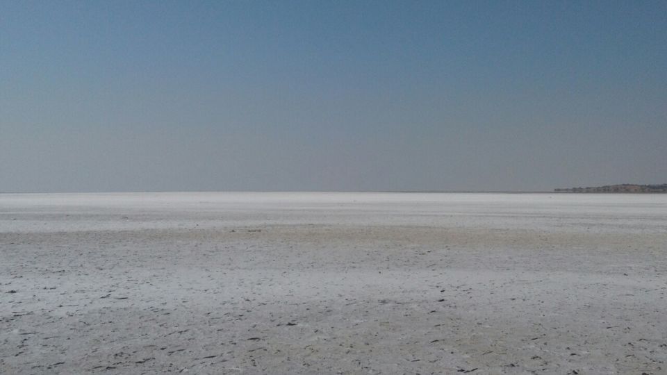 Photo of A desert with white beauty called Rann Of Kutch by priyank patel