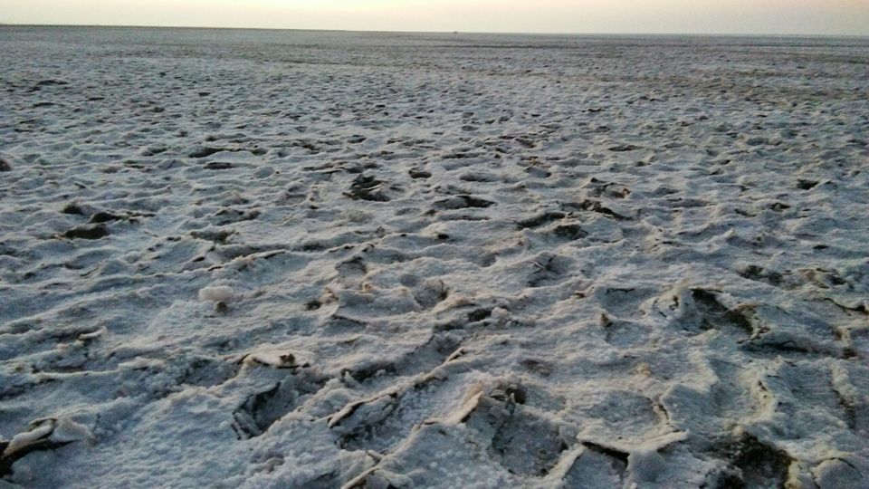 Photo of A desert with white beauty called Rann Of Kutch by priyank patel