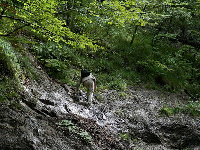 Photo of Terchová Trail, Slovakia by Kevin and Ruth