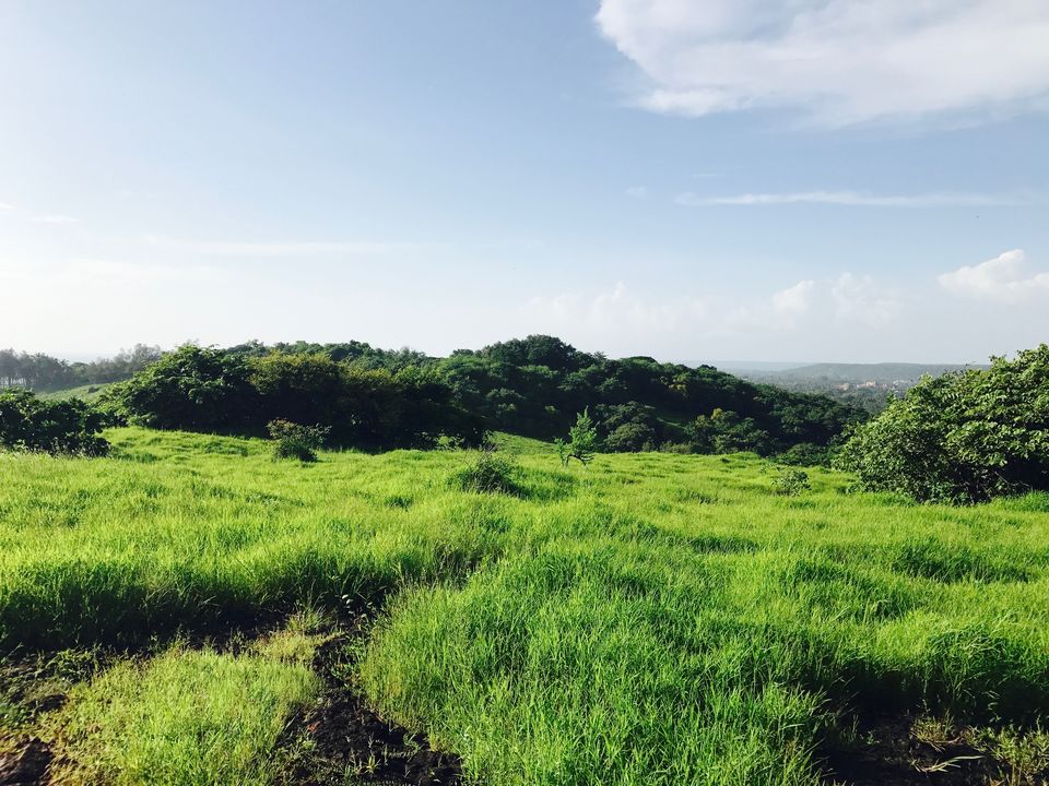 Photo of A secret heaven: You will never guess where it is! #Hiddengem 2/14 by Ajanta