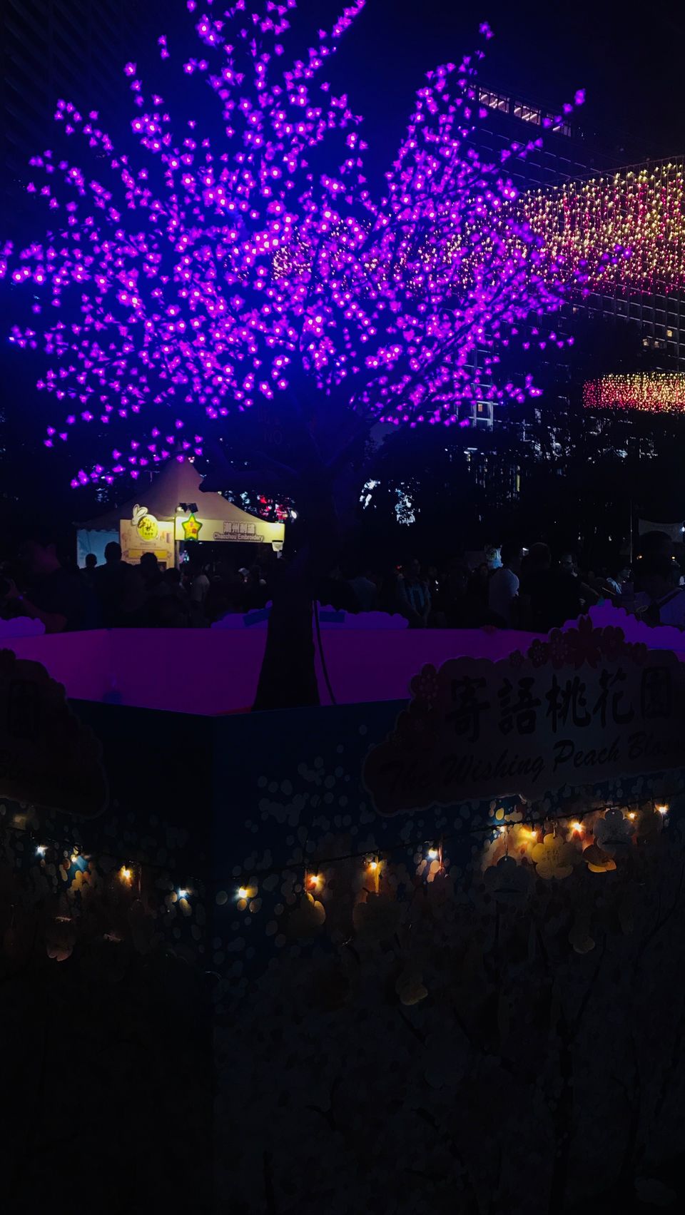 Photo of Hong Kong, a love affair! 13/77 by Ajanta