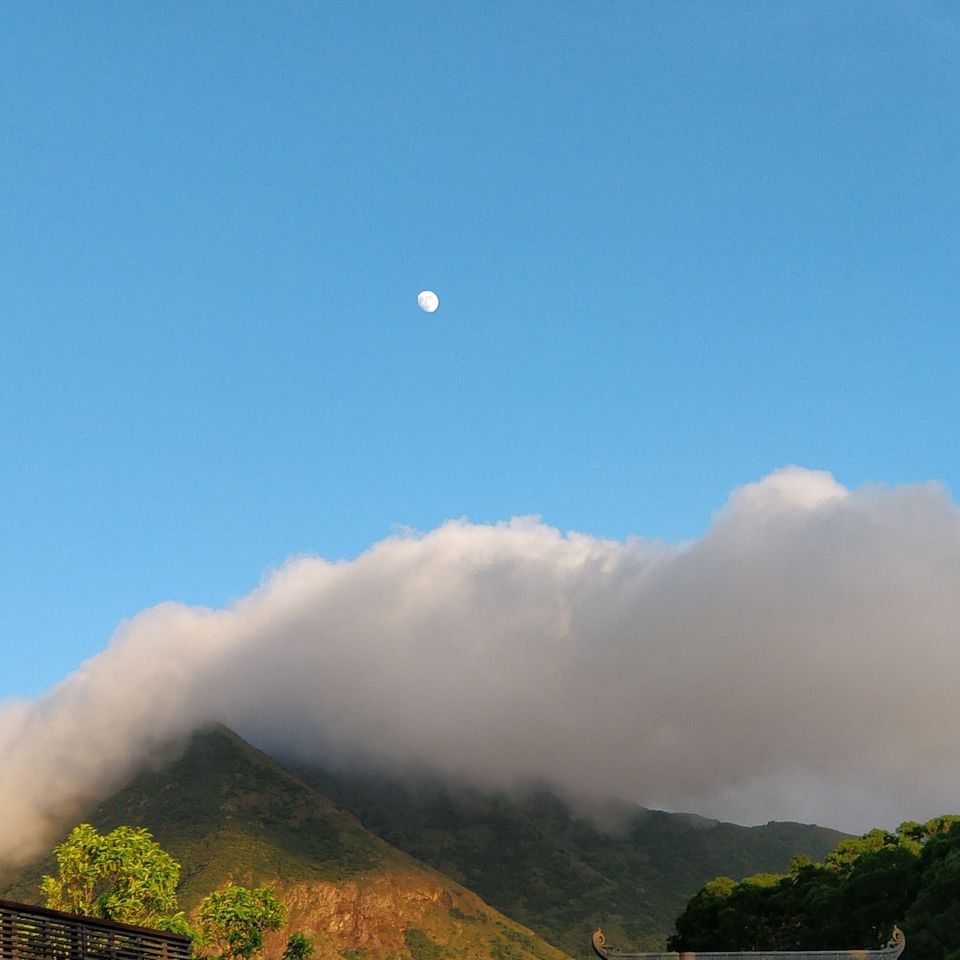 Photo of Hong Kong, a love affair! 42/77 by Ajanta