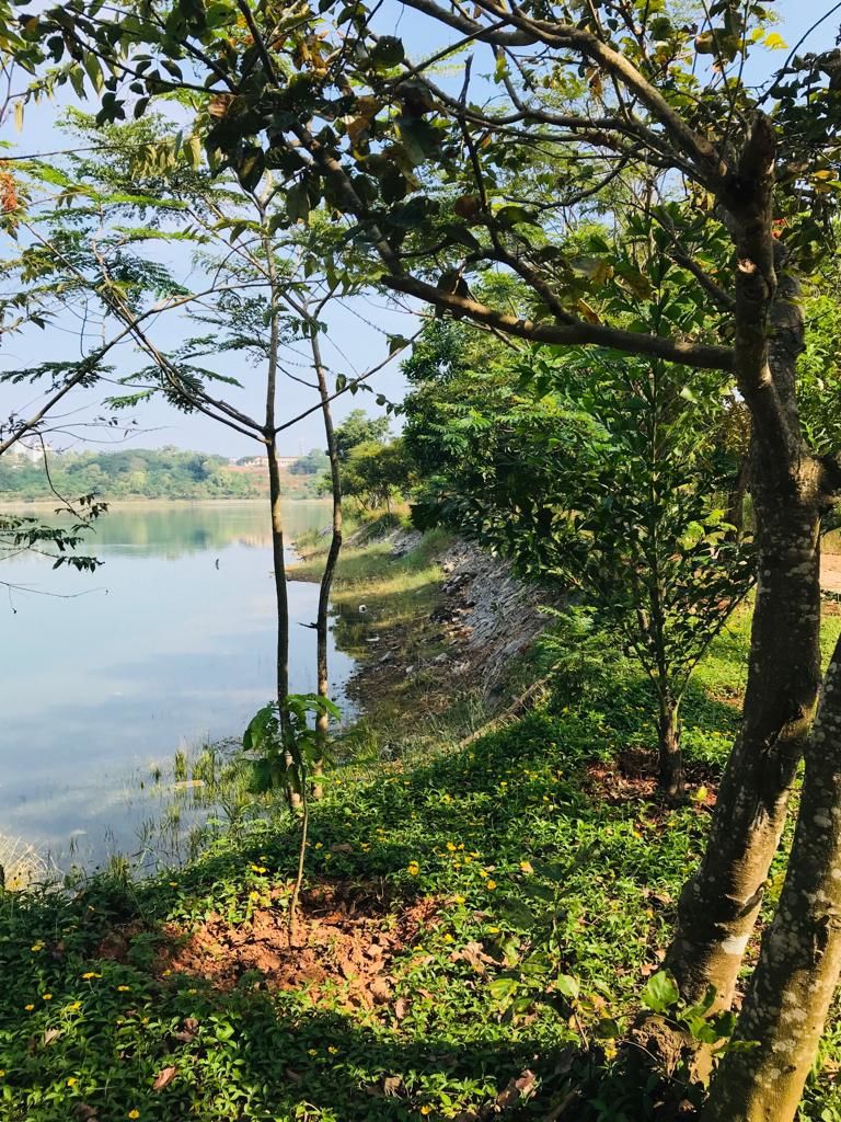 Photo of Manipal Lake, Manipal, Karnataka by Ajanta