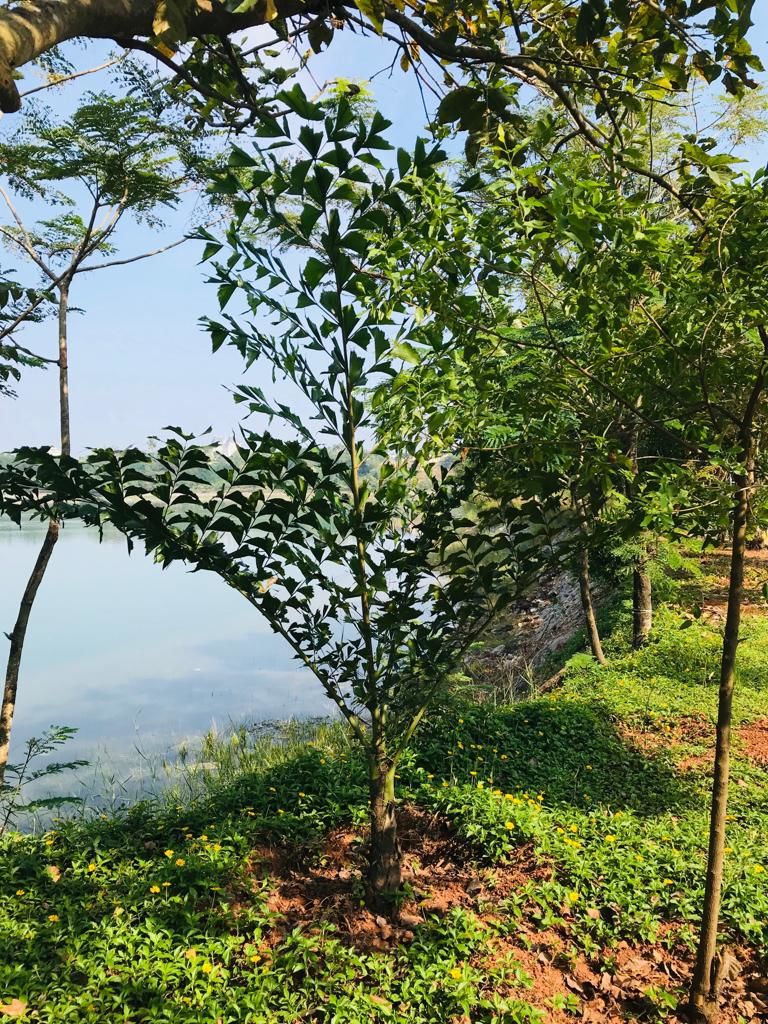 Photo of Manipal Lake, Manipal, Karnataka by Ajanta