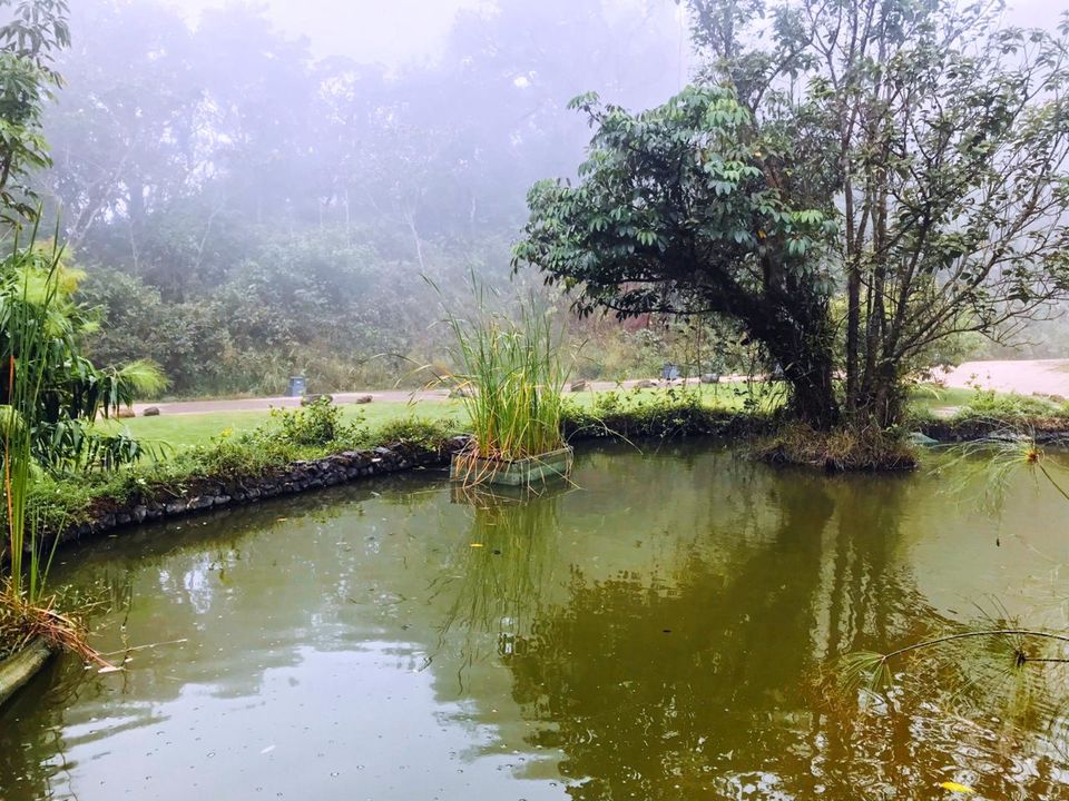 Photo of Shut the World out and find your peace at The Taj Vivanta, Coorg! 6/24 by Ajanta