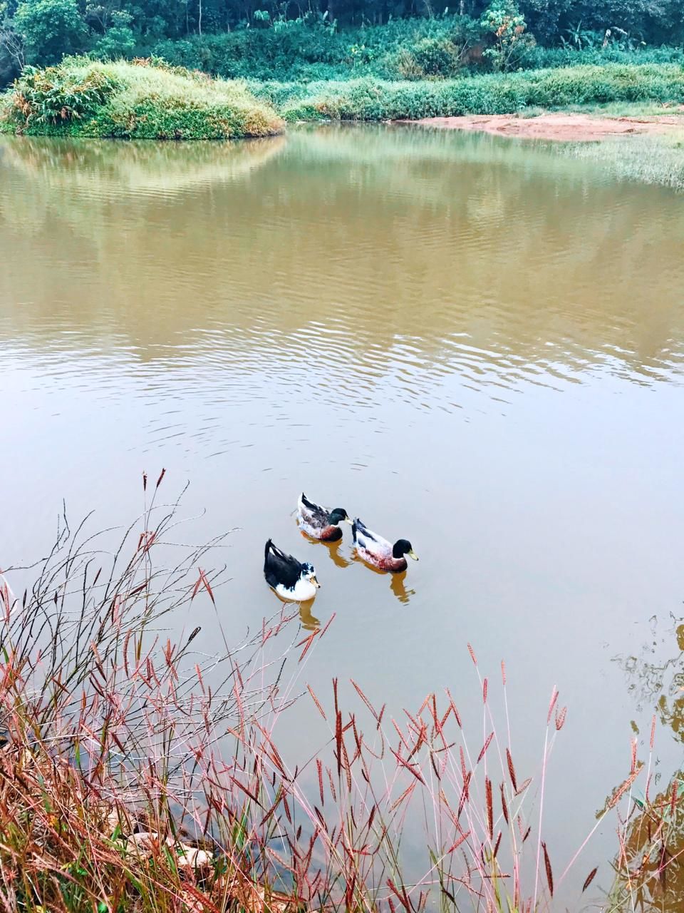 Photo of Shut the World out and find your peace at The Taj Vivanta, Coorg! 14/24 by Ajanta