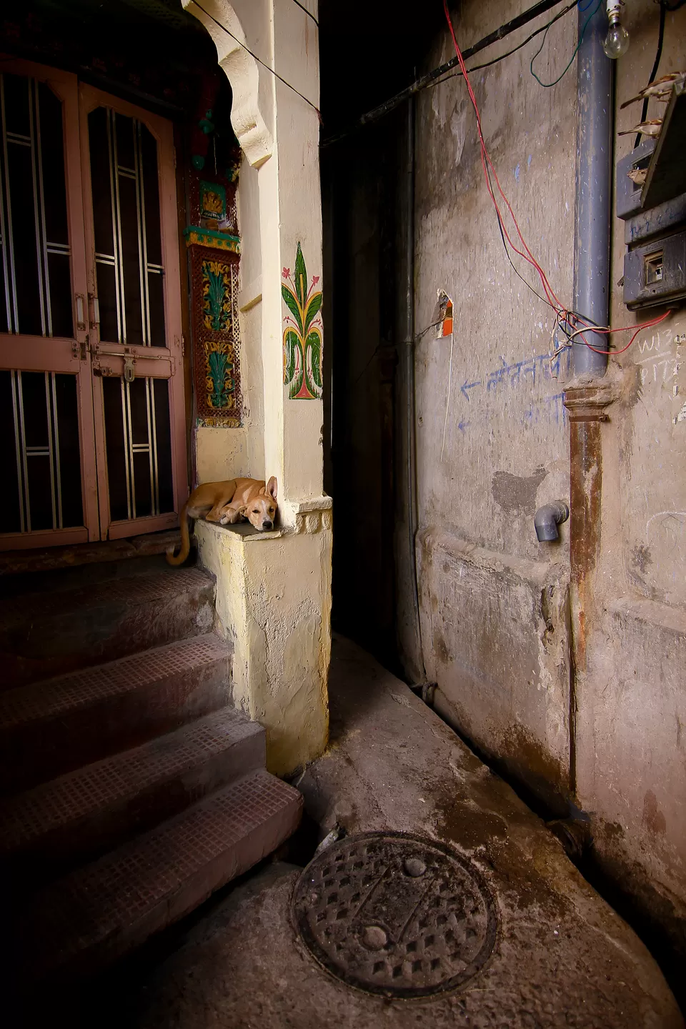 Photo of Jodhpur, Rajasthan, India by sagar koshthi