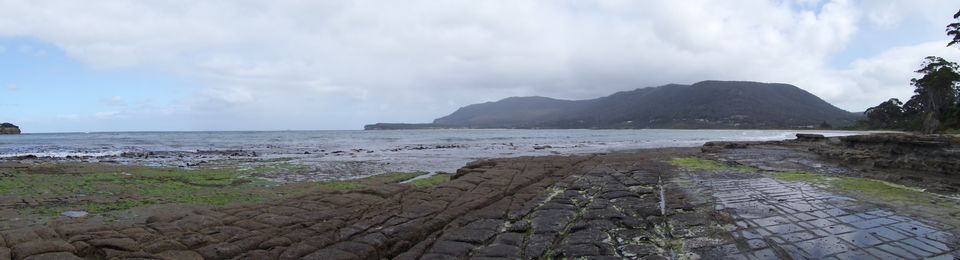Photo of Down Under Down ~ Tasmania! 26/44 by karen yang