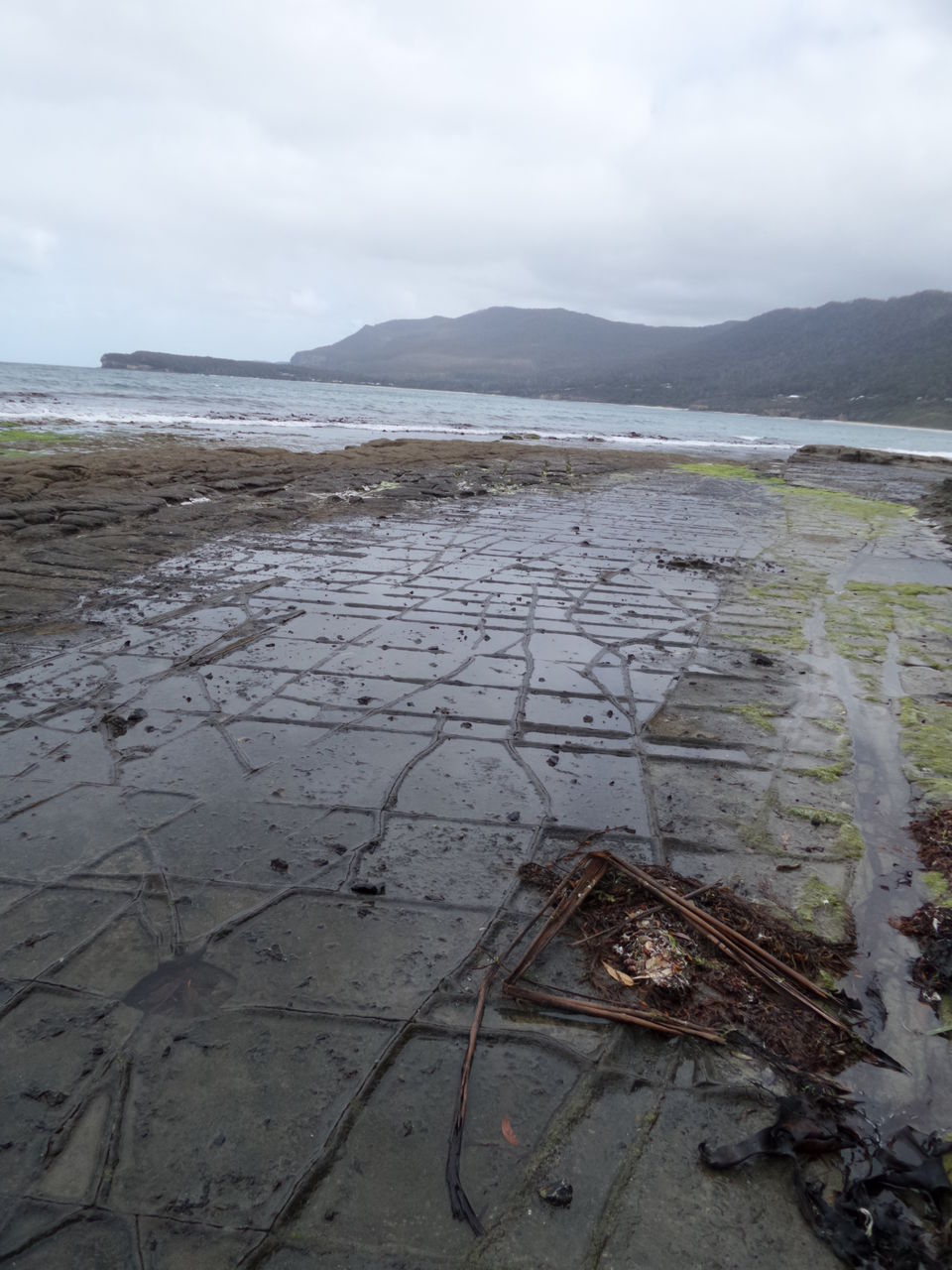 Photo of Down Under Down ~ Tasmania! 27/44 by karen yang