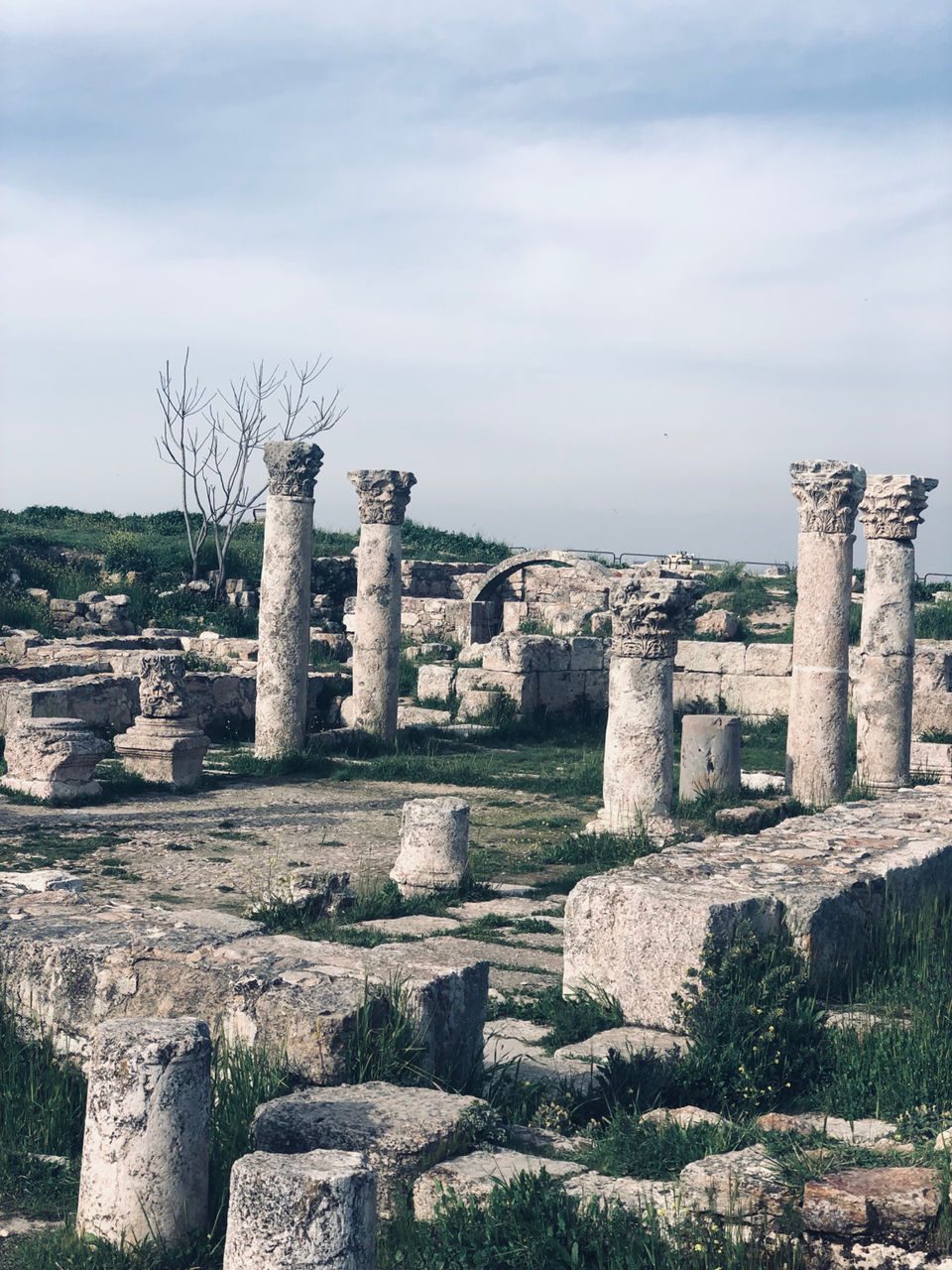 Photo of Birthday Solo Trip To Jordon(Amman) by Bhagyashri Bhanushali