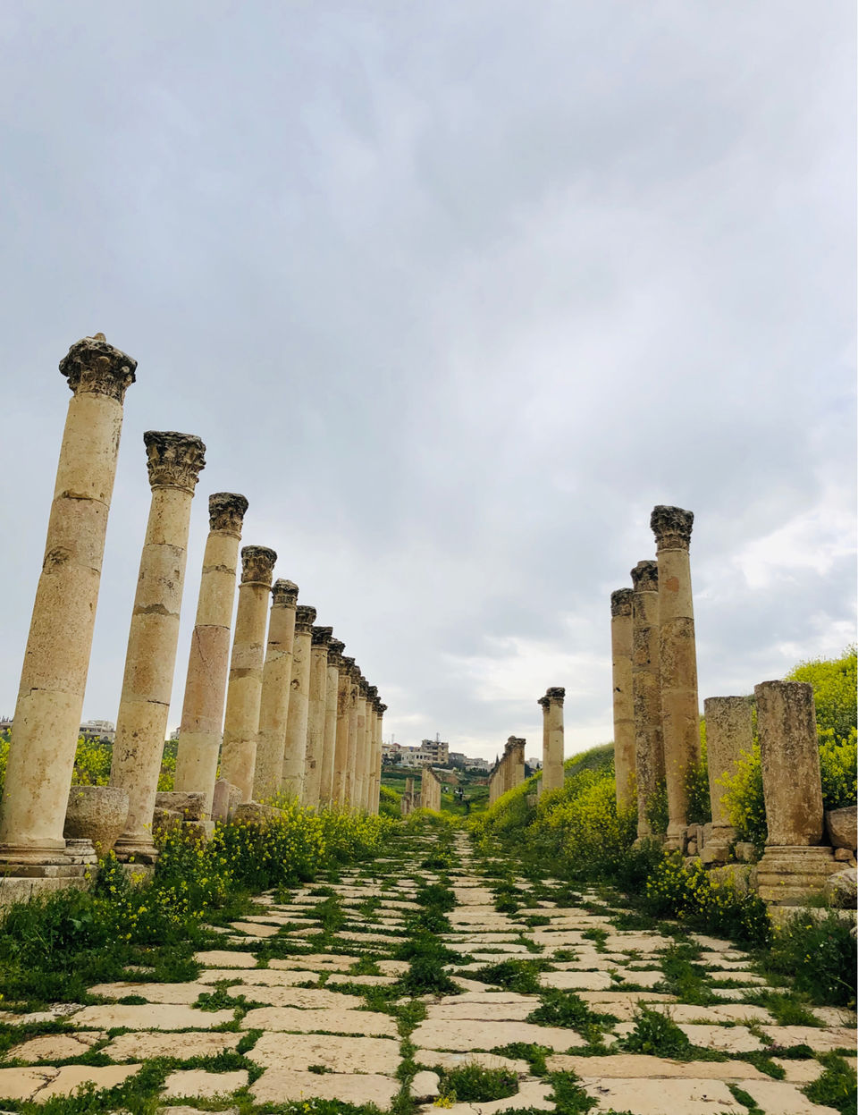 Photo of Birthday Solo Trip To Jordon(Amman) by Bhagyashri Bhanushali