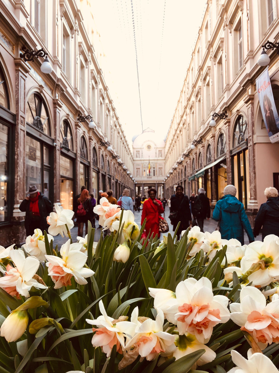 Photo of Royal Gallery of Saint Hubert, Rue des Bouchers, Brussels, Belgium by Bhagyashri