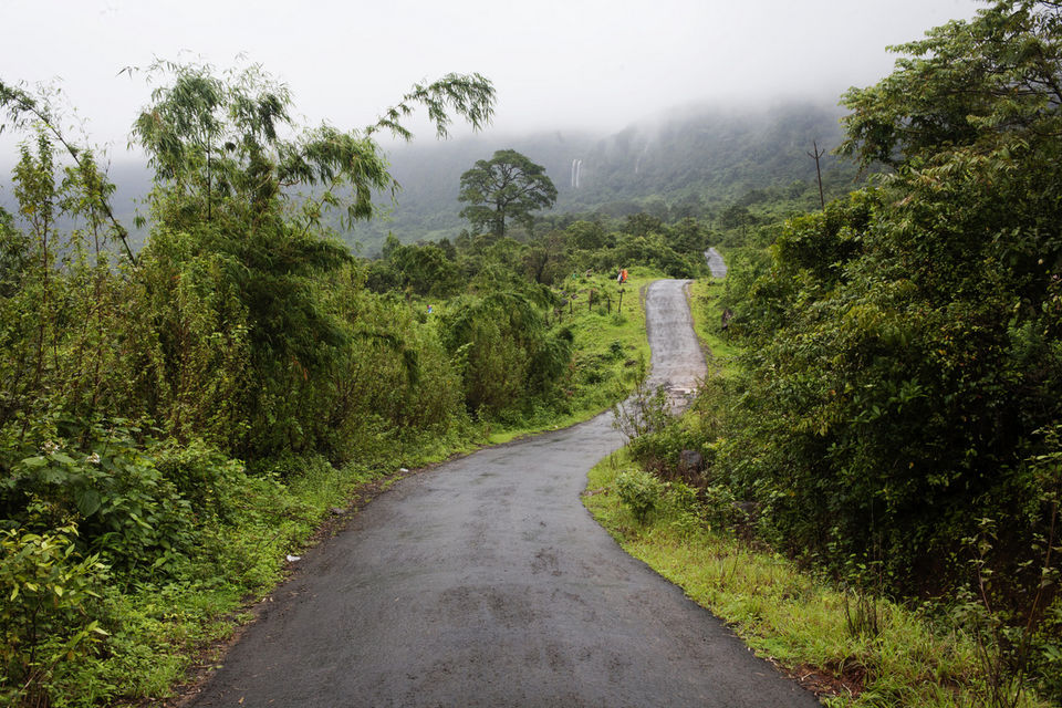 Photo of Netravali Wildlife Sanctuary, Verlem, Goa, India by Siddharth Jain