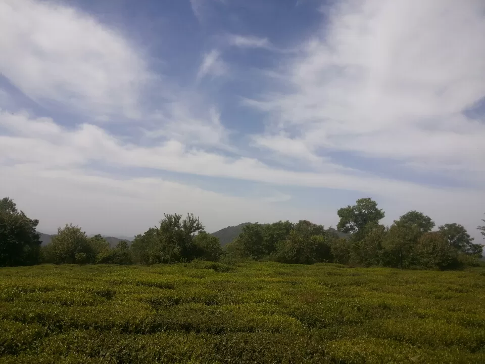 Photo of Bir-Billing by Avish Gambhir