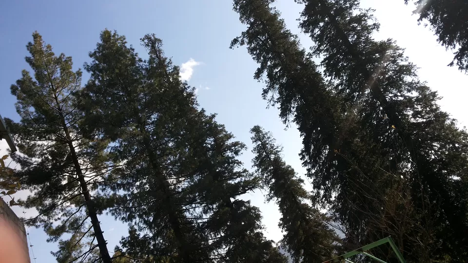 Photo of Nathia Gali, Nathia Gali, Pakistan by HodophilicSnowBird