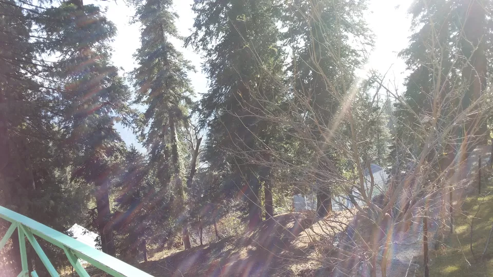 Photo of Nathia Gali, Nathia Gali, Pakistan by HodophilicSnowBird