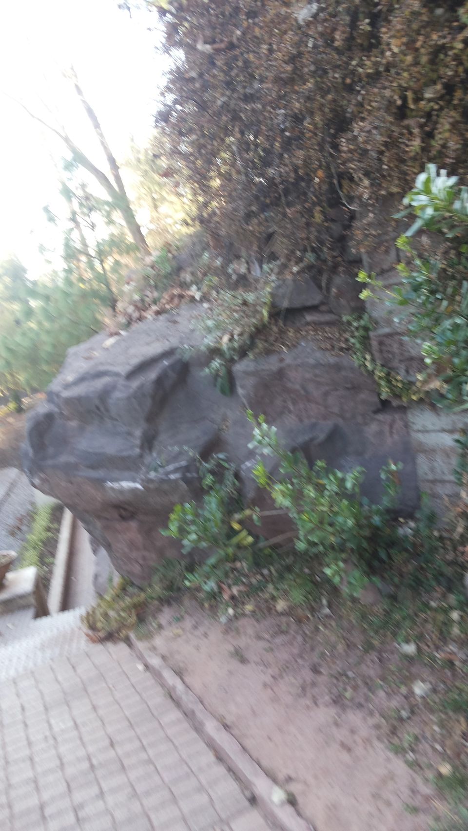 Photo of Lost Treasures of the Far Away Land 27/70 by HodophilicSnowBird