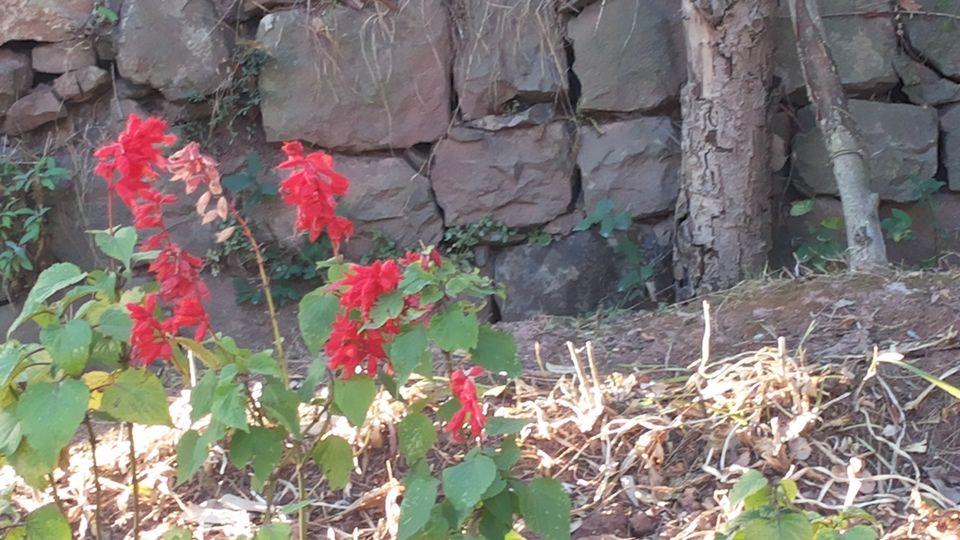 Photo of Lost Treasures of the Far Away Land 37/70 by HodophilicSnowBird