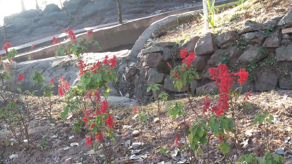 Photo of Lost Treasures of the Far Away Land 38/70 by HodophilicSnowBird