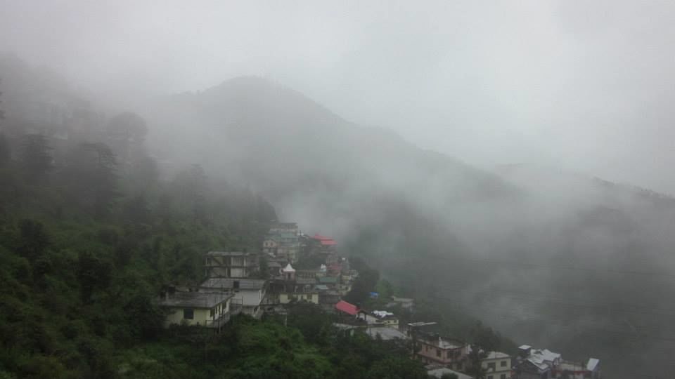 Photo of Shimla Rocks 8/11 by Ridhima Srivastava
