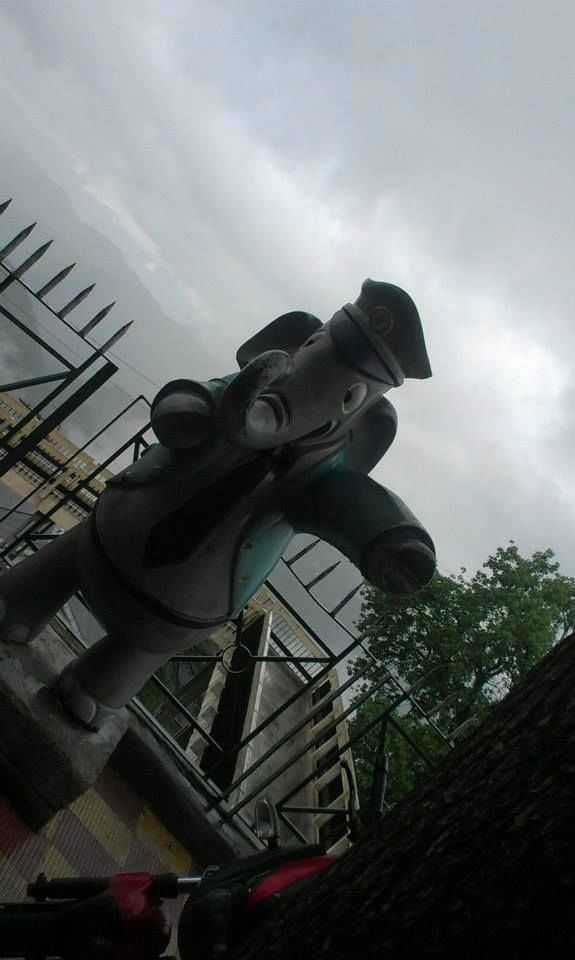 Photo of Shimla Rocks 4/11 by Ridhima Srivastava