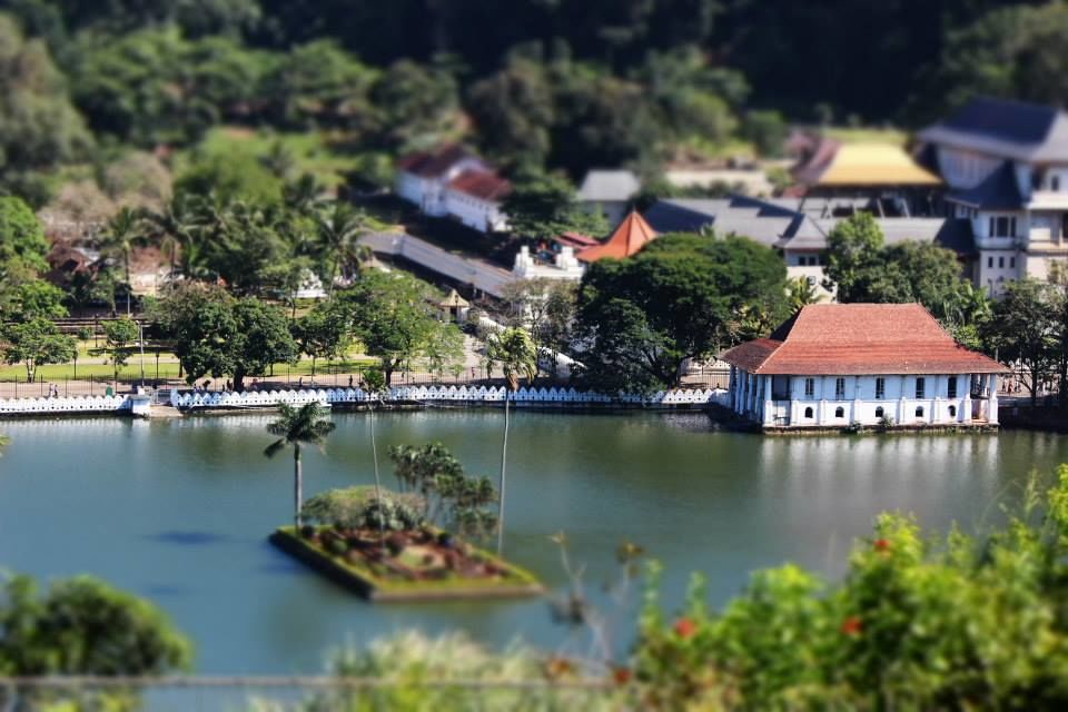 Photo of Sri Lanka-God's own country 9/32 by Shine P