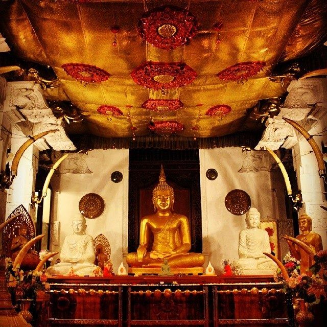 Photo of Sri Lanka-God's own country 2/32 by Shine P