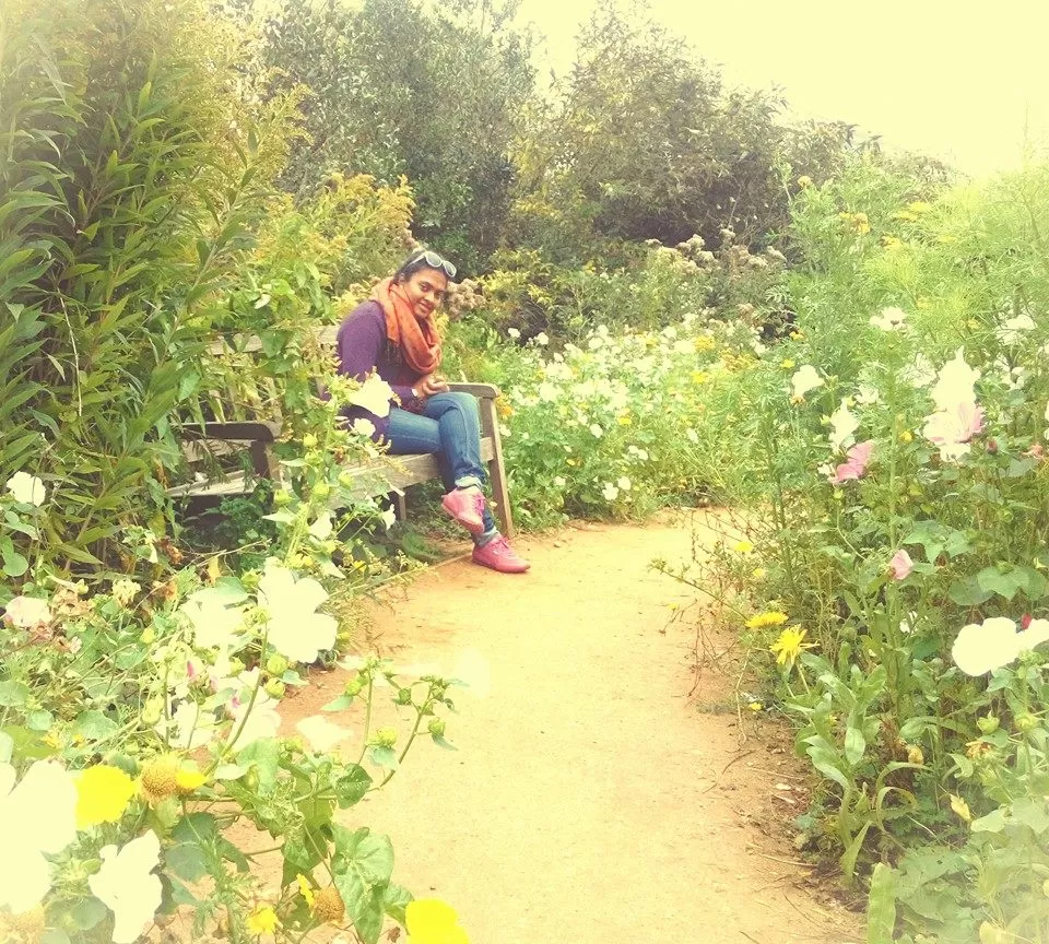 Photo of Stratford Butterfly Farm, Swans Nest, Stratford-upon-Avon, United Kingdom by Mrunmayee
