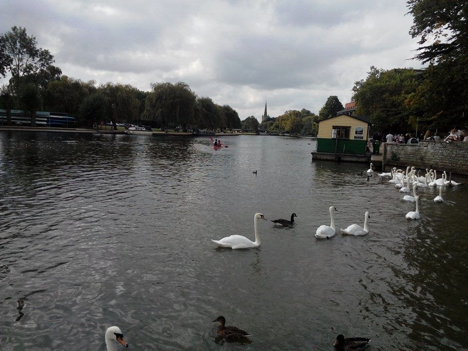 Photo of Avon River Cruises/ Boat Rides by Mrunmayee