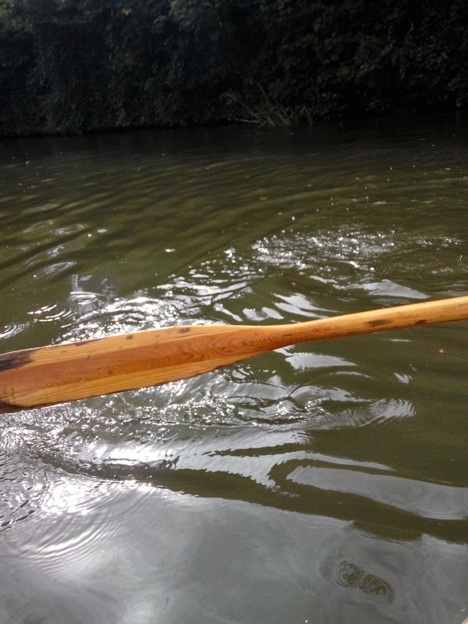 Photo of Avon River Cruises/ Boat Rides by Mrunmayee
